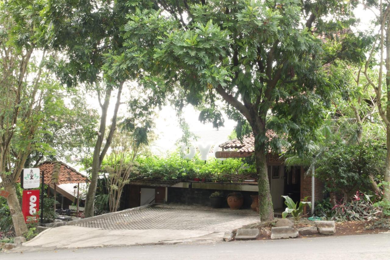Oyo 171 Lotus Art Garden Hotel 2*